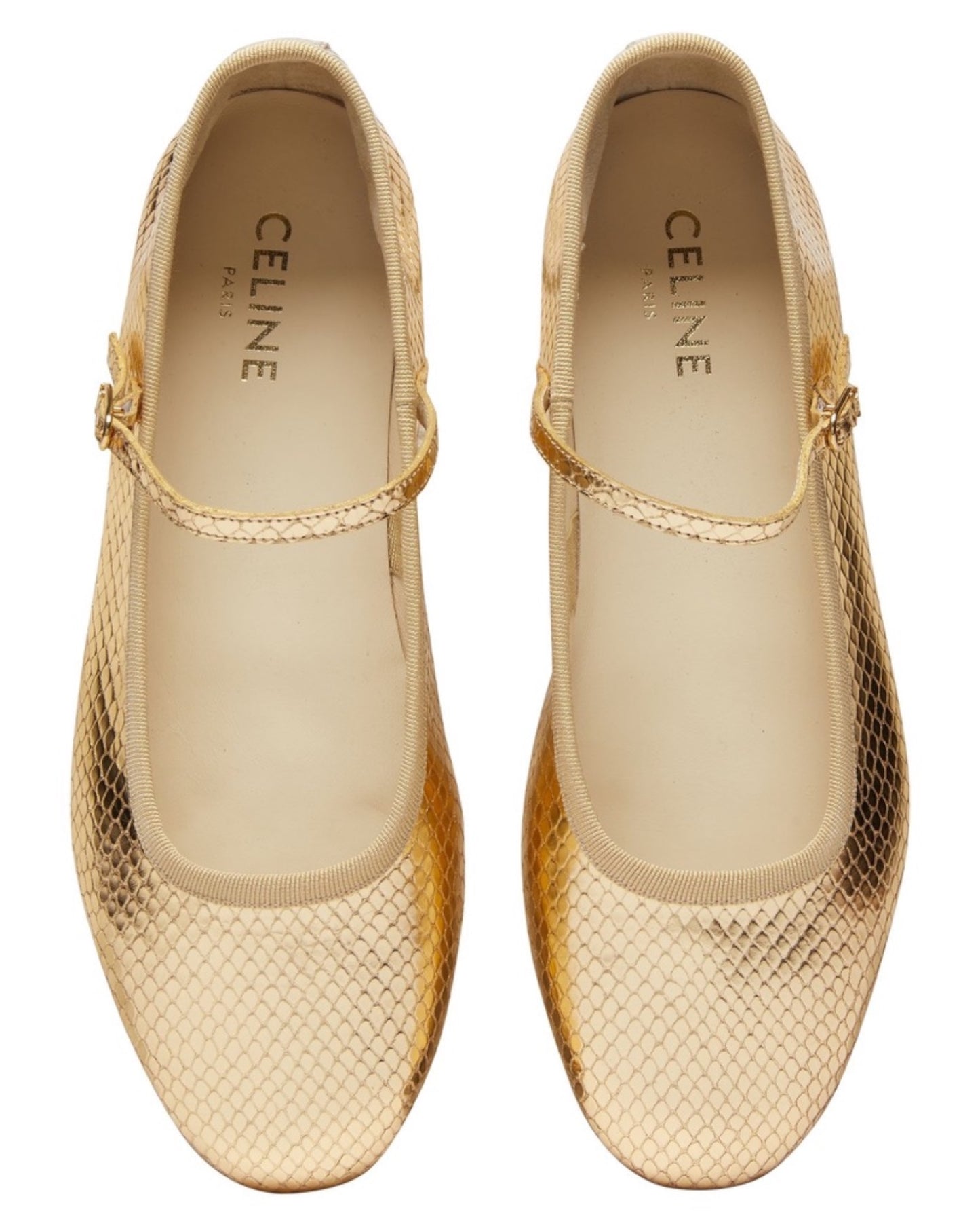 Celine Mary Jane Ballerina Flats in Python Stamped Calfskin